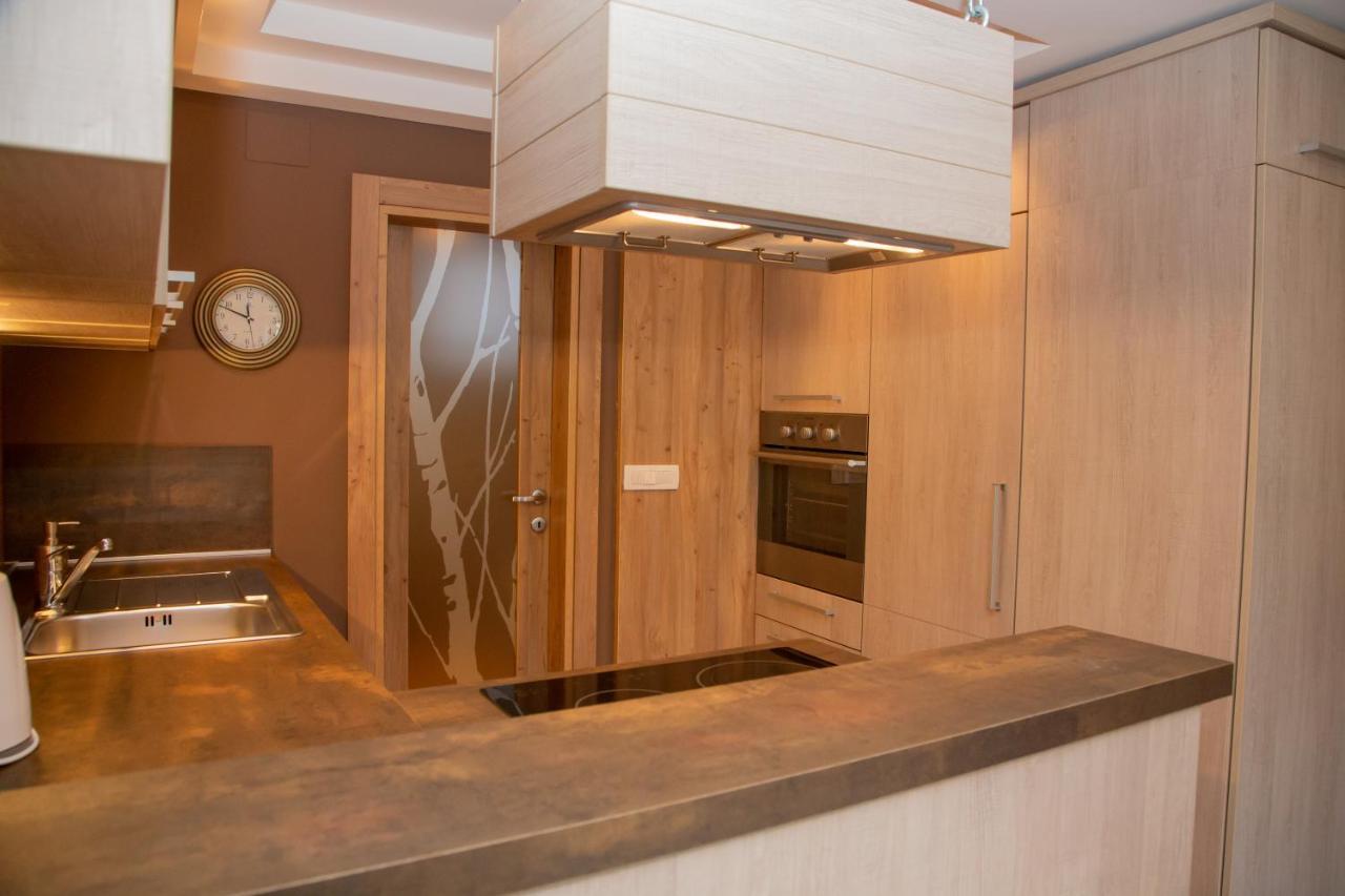 Apartment Atrij Superior ボーヒニ エクステリア 写真